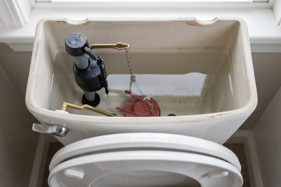 The inside of an open toilet tank with the fill valve, flush lever and red flapper